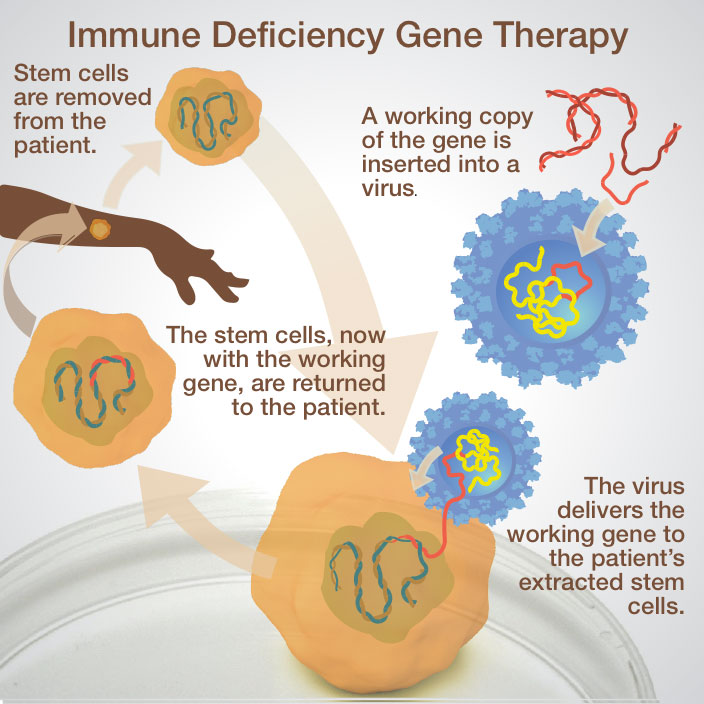 Immune Deficiency
